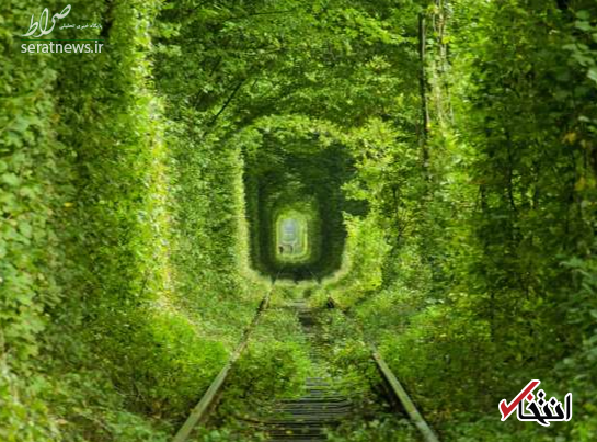 با زیباترین تونلهای جهان آشنا شوید +تصاویر