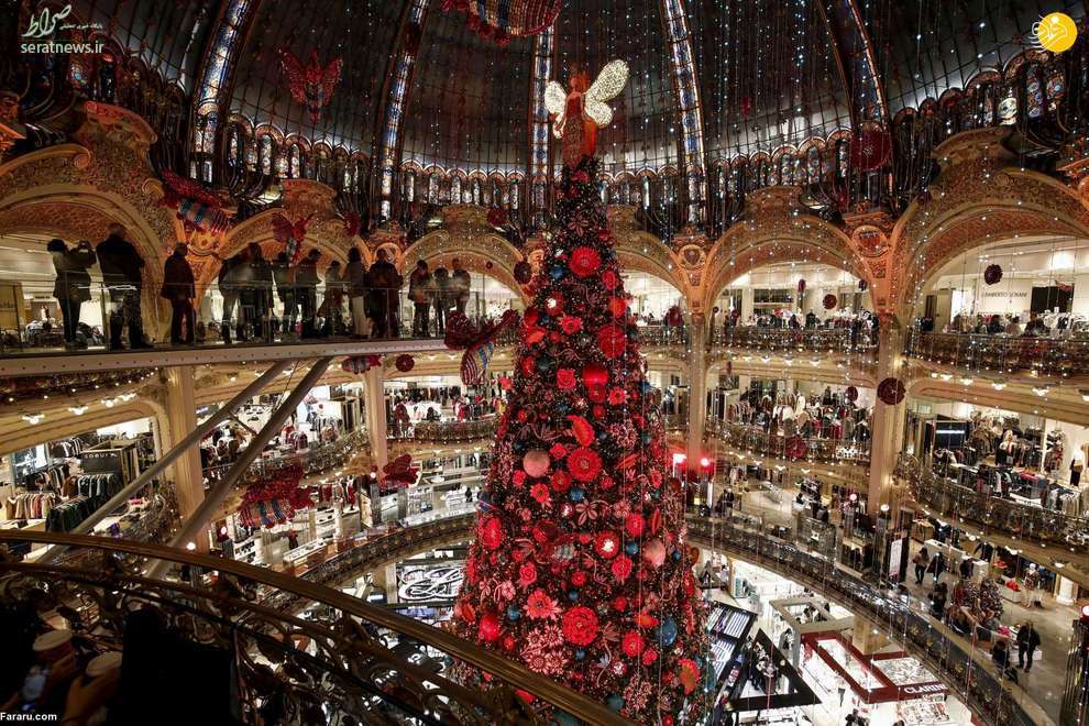 زیباترین درختان کریسمس جهان +تصاویر