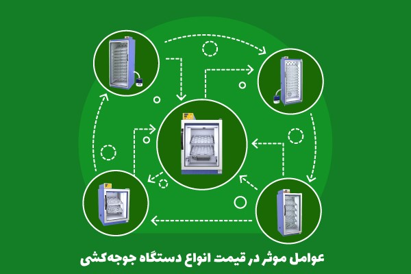 افزایش درآمد پایدار با دستگاه جوجه کشی خانگی