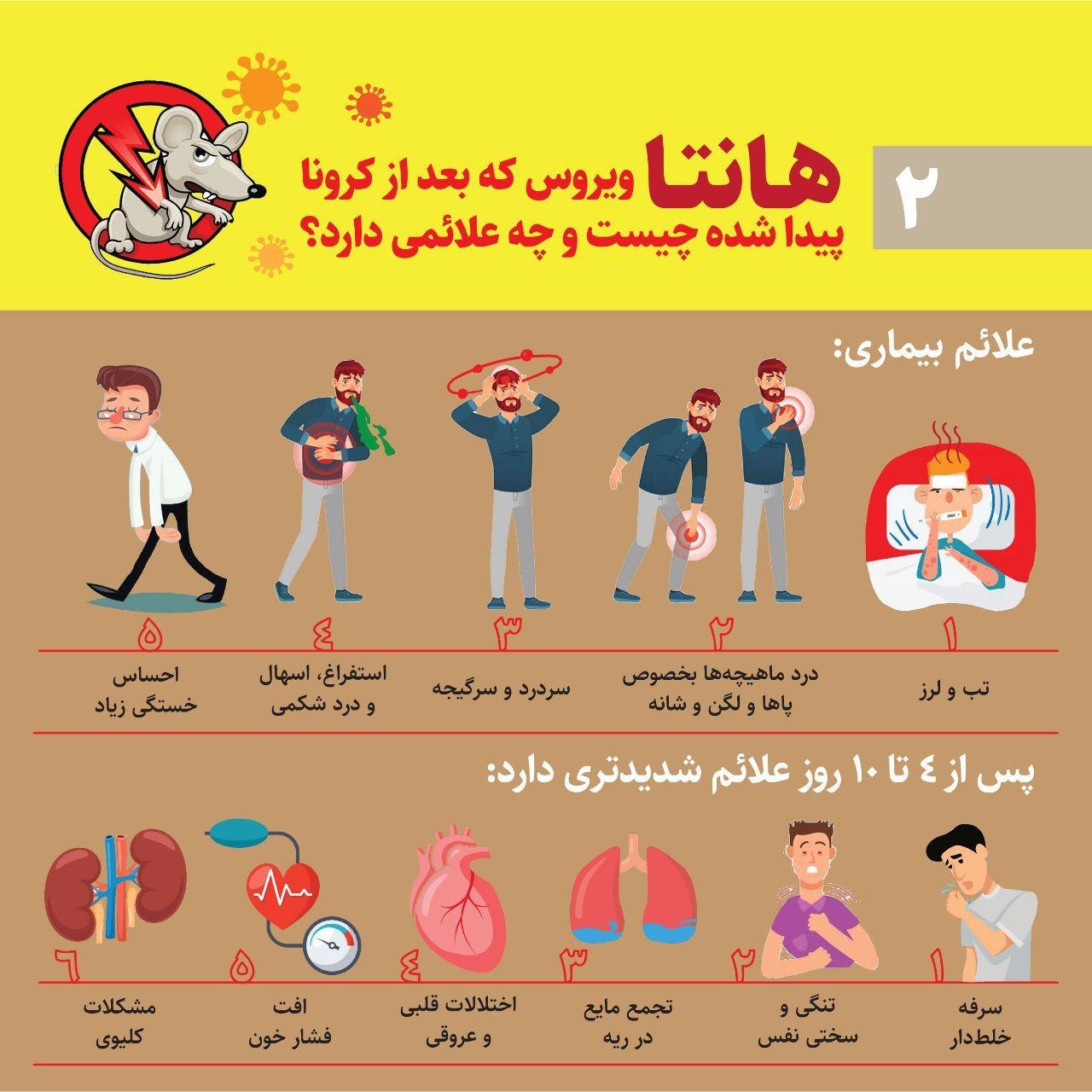 هانتا ویروس که بعد از کرونا پیدا شده چیست و چه علائمی دارد؟ + عکس هانتا ویروس که بعد از کرونا پیدا شده چیست و چه علائمی دارد؟ + عکس