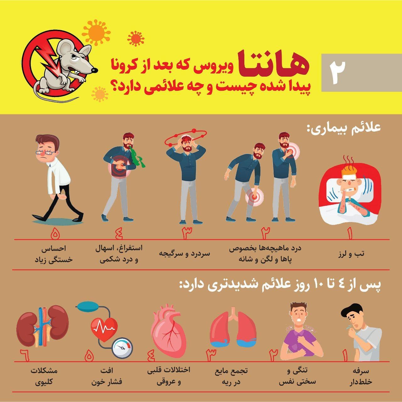 هانتا ویروس که بعد از کرونا پیدا شده چیست و چه علائمی دارد؟ + عکس