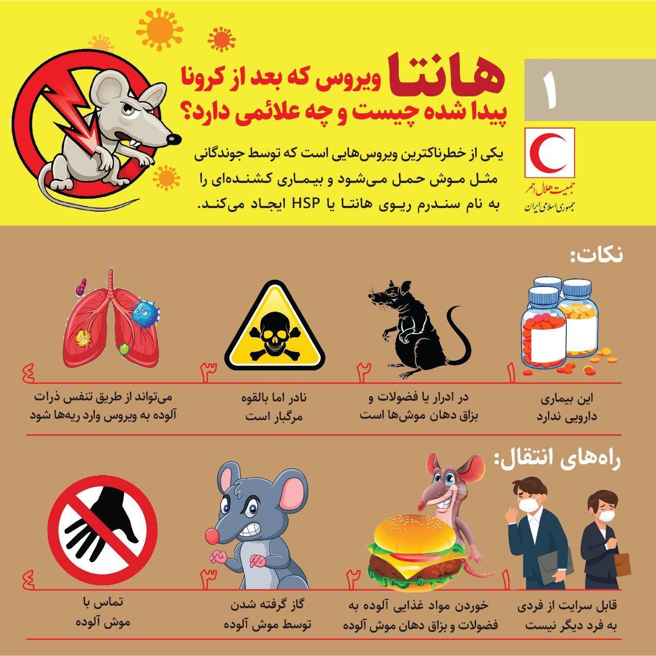 هانتا ویروس که بعد از کرونا پیدا شده چیست و چه علائمی دارد؟ + عکس هانتا ویروس که بعد از کرونا پیدا شده چیست و چه علائمی دارد؟ + عکس