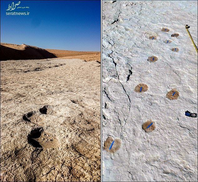 کشف ردپای ۱۲۰ هزار ساله در صحرا+عکس