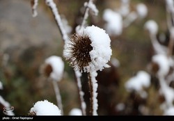 آغاز بارش برف و باران از فردا/ هشدار مهم سازمان هواشناسی به کشاورزان