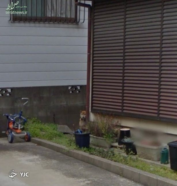 عکس عجیبی که مرد ژاپنی در گوگل ارث پیدا کرد!
