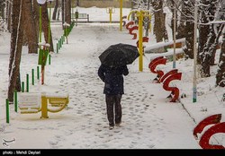 بارش برف و باران در ۸ استان تا جمعه/ هوا ۱۵ درجه سرد می‌شود