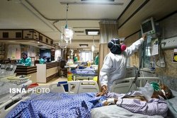 زالی: مبتلایان کرونا در حال زیاد شدن هستند