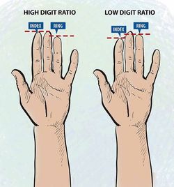 شخصیت شناسی از روی طول انگشتان دست شما