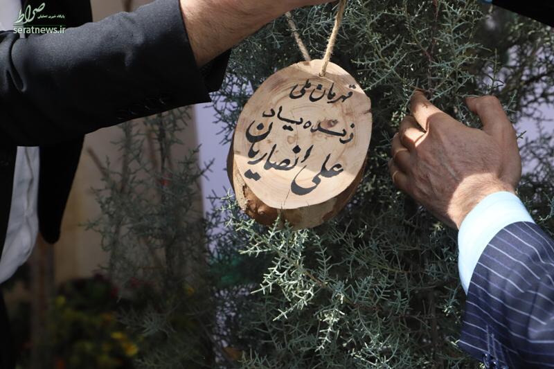 غرس نهال به یاد قهرمان ملی، علی انصاریان+عکس غرس نهال به یاد قهرمان ملی، علی انصاریان+عکس