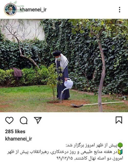 عکس/ کاشت دو نهال توسط رهبر انقلاب