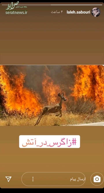 عکس/ واکنش «لاله صبوی» به آتش سوزی جنگل های ایران