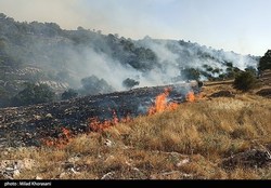 عاملان آتش‌سوزی کوه خائیز دستگیر شدند