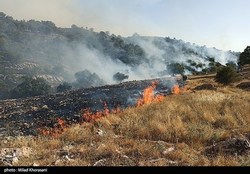 عاملان آتش‌سوزی کوه خائیز دستگیر شدند