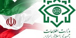 توضیحات مدیرکل ضدجاسوسی وزارت اطلاعات درباره آزادی نظامی آمریکایی