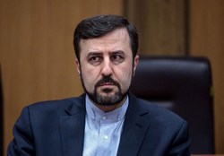 ایران خواستار استرداد مفسدان فراری شد