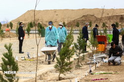 برخورد با قصور تدفین متوفیان کرونایی درخرمشهر