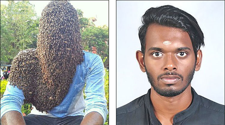 عکس/ مرد هندی با ۶۰ هزار زنبور روی سر و صورت