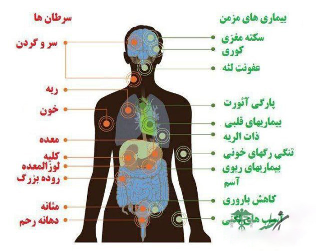 قلیان ممنوع است / هشدار جدی پلیس + جزییات