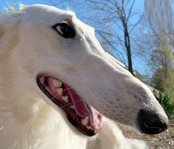 تصاویر/ عبور از خدا آفرین