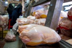 فروش مرغ بالاتر از ۱۷ هزار تومان گرانفروشی است
