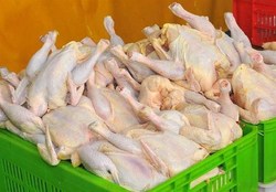 قیمت های جدید گوشت مرغ و لبنیات
