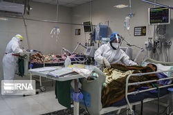 زالی: وضعیت مراجعه‌کنندگان به بیمارستان‌های تهران وخیم‌تر شده است