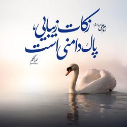 زکات زیبایی از منظر امیرالمومنین (ع)