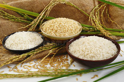 مصرف برنج در چه صورت می‌تواند منجر به مرگ شود؟