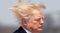 دونالد ترامپ برای موهایش قانون وضع می‌کند
