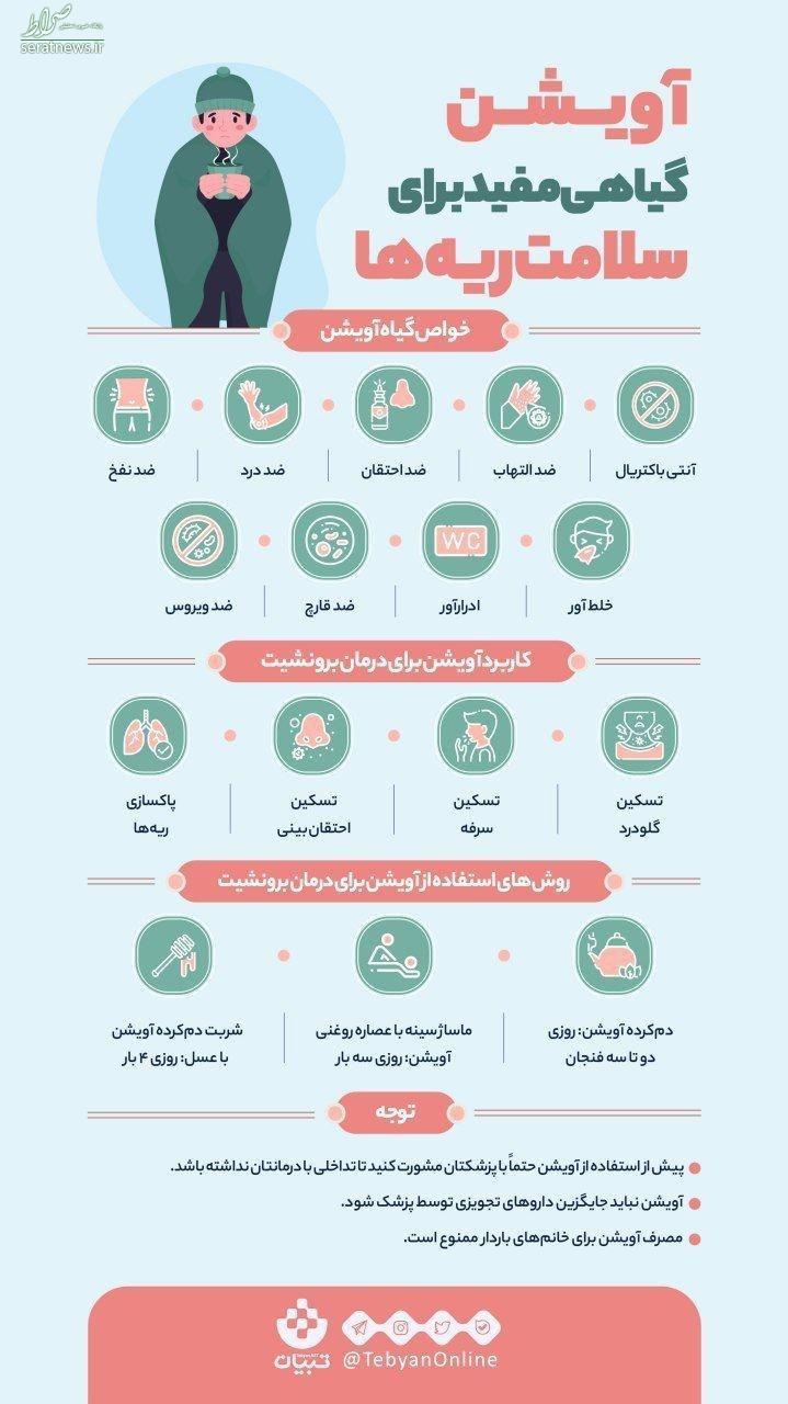 اینفوگرافیک/ خواص جادویی آویشن برای ریه