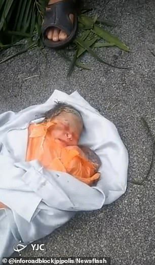 پیداشدن نوزاد ۲ روزه مجروح شده با چاقو در خیابان!+تصاویر
