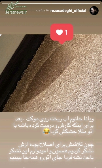 عکس/ دسته‎ گلی که دختر رضا صادقی به آب داد