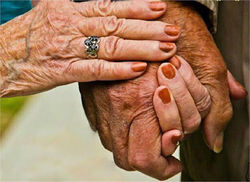 عشق پیری سهم ۸ درصد از ازدواج‌های سال ۱۳۹۸