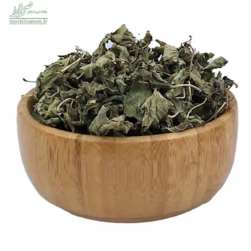 ۱۰ گیاه که ویروسها را تار و مار میکنند ۱۰ گیاه که ویروسها را تار و مار میکنند
