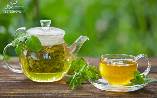 ۱۰ گیاه که ویروسها را تار و مار میکنند ۱۰ گیاه که ویروسها را تار و مار میکنند