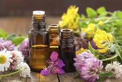 فواید درمانی بوییدن انواع گل
