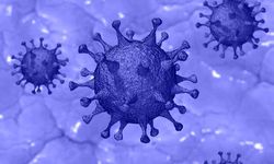 چند سرنخ مهم برای تشخیص کرونا از آنفلوآنزا!