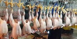 عکس/ حجاب متفاوت لیندا کیانی