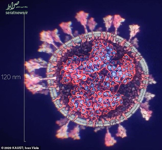 دقیق‌ترین تصویر «کروناویروس» منتشر شد