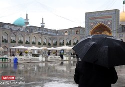 فیلم/ سخنان کمتر شنیده شده رهبر انقلاب درباره امام رضا (ع)