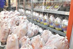 احتمال افزایش دوباره قیمت مرغ