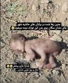 ماجرای نوزاد رهاشده در حاشیه شهر اصفهان ماجرای نوزاد رهاشده در حاشیه شهر اصفهان