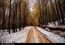 بارش ۵ روزه برف و باران در برخی استان‌ها