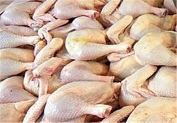 کاهش قیمت مرغ تا ۱۰ روز آینده