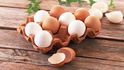 قیمت هر کیلو تخم مرغ به ۱۳ هزار و ۵۰۰ تومان رسید