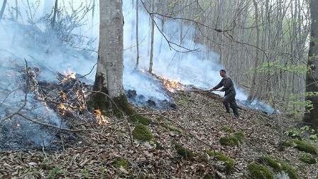 آتش سوزی جنگل های کجور به روز سوم رسید