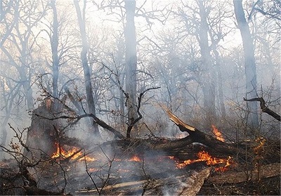 مهار آتش سوزی در جنگل های گیلان