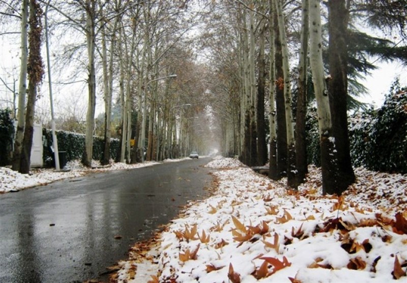 هواشناسی ۳ دی/  بارش برف و باران در ۲۰ استان