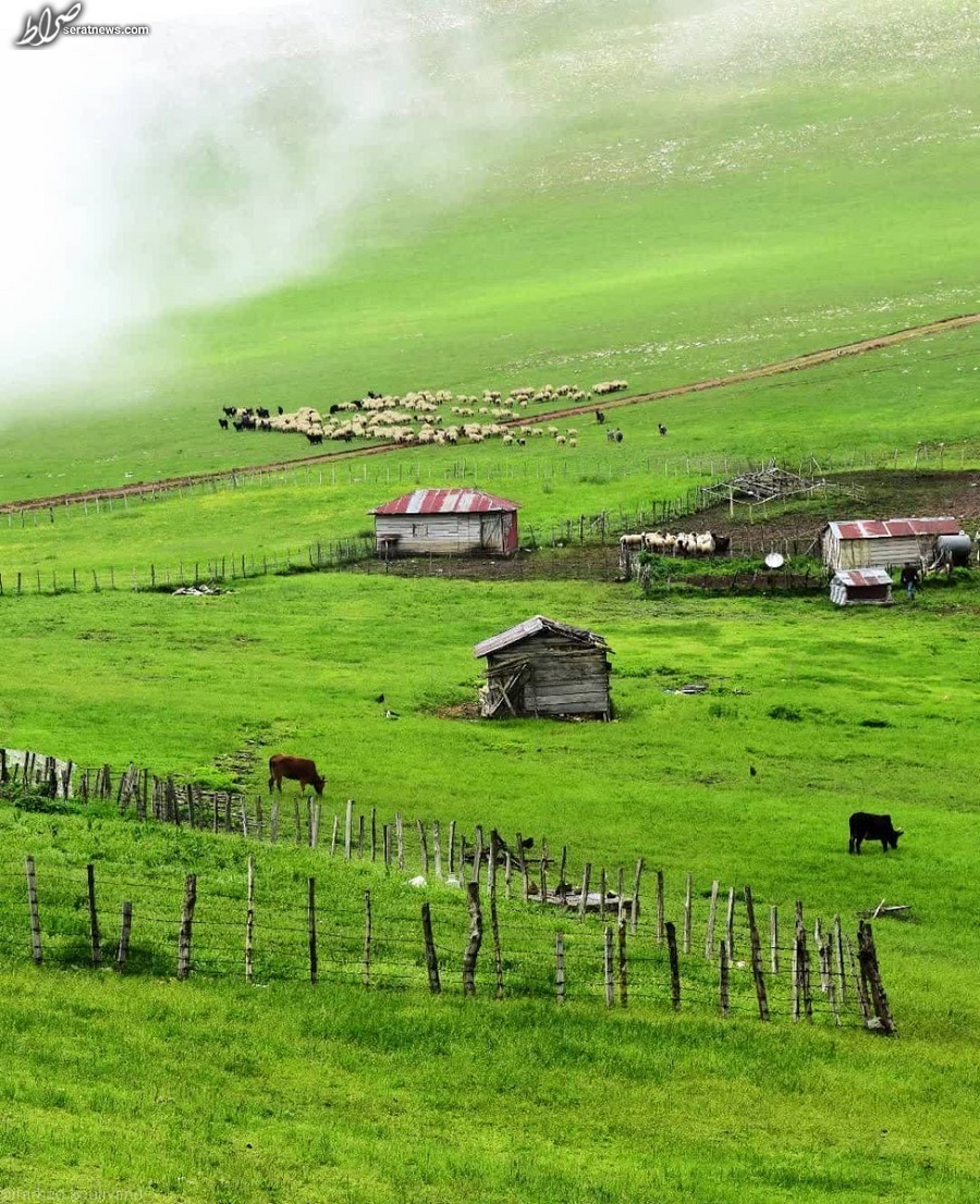 عکس / طبیعت زیبای تالش گیلان