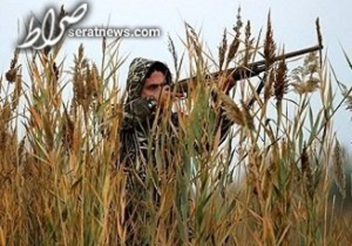 شبیخون ۱۰۰ شکارچی مسلح به محیط بانان میانکاله
